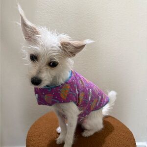 Purple Dog Jacket with Umbrella Design